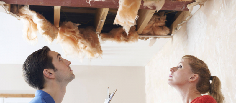 Roof Damage Insurance Claims Adjuster