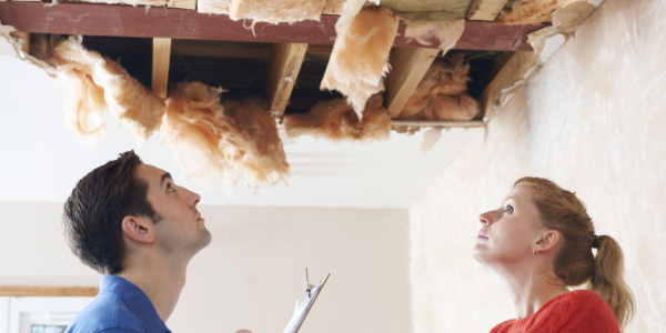 Roof Damage Insurance Claims Adjuster