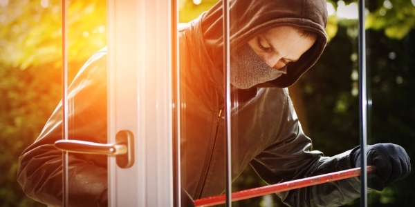 theft-2 theft-2