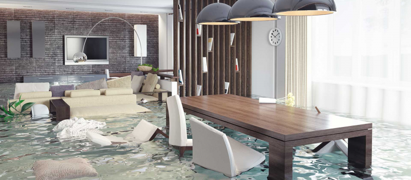 Water Damage Insurance Claims Adjuster